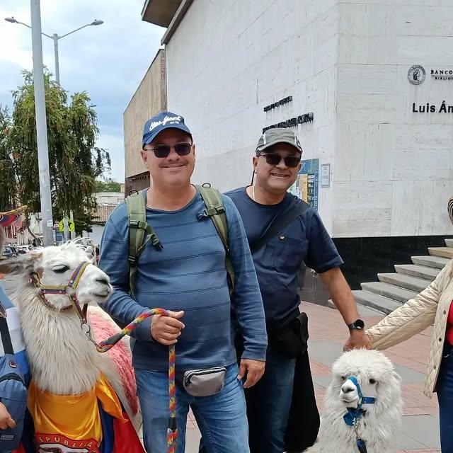Llamas puerto rico